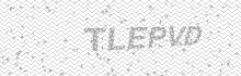Verificador